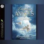 In the Company of Angels True Stories of Angelic Encoungers, Robert  Strand
