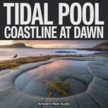 Tidal Pool Coastline at Dawn, Ambient Rest Audio
