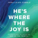 Hes Where the Joy Is Audio Bible Stu..., TaraLeigh Cobble