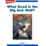 What Good Is the Big Bad Wolf?, Linda Zajac