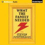 What the Family Needed, Steven Amsterdam