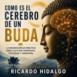 Como es el cerebro de un buda, Ricardo Hidalgo
