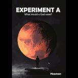 Experiment A What should a God want?..., Hooman
