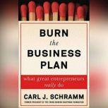 Burn the Business Plan, Carl J. Schramm