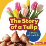 The Story of a Tulip, Lisa Owens