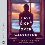 Last Light over Galveston, Jennifer L. Wright