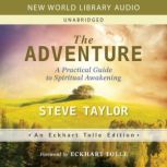 The Adventure, Steve Taylor