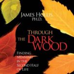 Through the Dark Wood, James Hollis, PhD