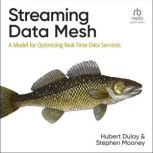 Streaming Data Mesh, Stephen Mooney