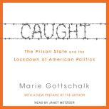 Caught The Prison State and the Lockdown of American Politics, Marie Gottschalk
