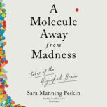 A Molecule Away from Madness, Sara Manning Peskin