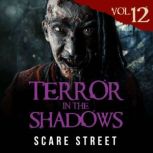 Terror in the Shadows Vol. 12, Scare Street