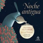 Noche Antigua Ancient Night, David Bowles