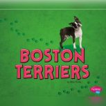 Boston Terriers, Allan Morey