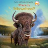 Where Is Yellowstone?, Sarah Fabiny