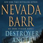 Destroyer Angel, Nevada Barr