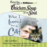 Chicken Soup for the Soul: What I Learned from the Cat 101 Stories about Life, Love, and Lessons, Jack Canfield