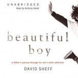 Beautiful Boy, David Sheff
