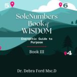 SOLEnumbers Book of Wisdom, Debra Ford