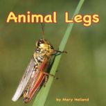 Animal Legs, Mary Holland