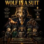 Wolf in a Suit, Balaji Govindarajan