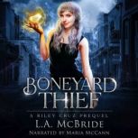 Boneyard Thief, L.A. McBride