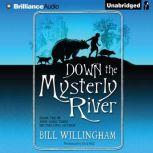 Down the Mysterly River, Bill Willingham