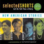 New American Stories, Aleksandar Hemon