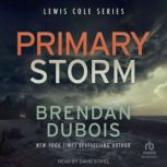 Primary Storm, Brendan DuBois