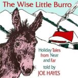 The Wise Little Burro, Joe Hayes