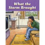 What the Storm Brought, Terry Miller Shannon
