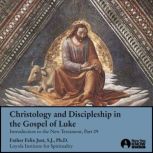 Christology and Discipleship in the G..., Felix Just