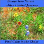 Escape Into Nature With A Guided Jour..., Hank Wilson