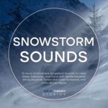 Snowstorm Sounds 15 Hours of Immersi..., Sound Therapy Studios