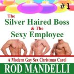 The Silver Haired Boss The Sexy Emp..., Rod Mandelli
