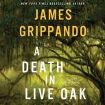 A Death in Live Oak A Jack Swyteck Novel, James Grippando