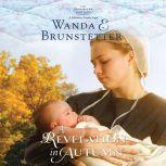 A Revelation in Autumn, Wanda E Brunstetter