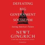 Defeating Big Government Socialism, Newt Gingrich