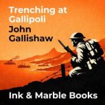 Trenching at Gallipoli, John Gallishaw