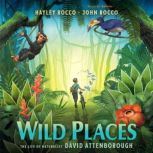 Wild Places, Hayley Rocco