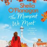 The Moment We Meet, Sheila OFlanagan