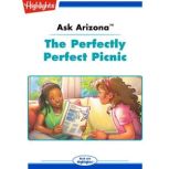 The Perfectly Perfect Picnic, Lissa Rovetch