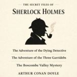 The Secret Files of Sherlock Holmes, Arthur Conan Doyle