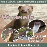 Weasels Photos and Fun Facts for Kids, Isis Gaillard