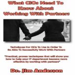 What CIOs Need to Know About Working ..., Dr. Jim Anderson