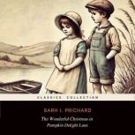 The Wonderful Christmas in Pumpkin De..., Sarah J. Prichard