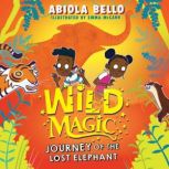 Wild Magic Journey of the Lost Eleph..., Abiola Bello