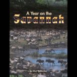 A Year on the Savannah, Ellen Wettersten