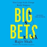 Big Bets, Rajiv Shah