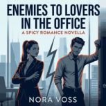 Enemies to Lovers in the Office A Sp..., Nora Voss